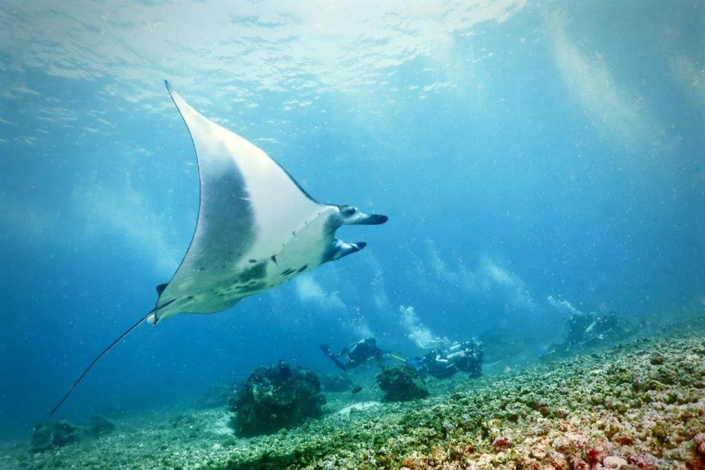 Komodo Resort Sebayur Kültér fotó